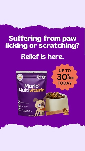 A 9:16 vertical ad highlighting dog skin relief with a clear discount offer and product placement.